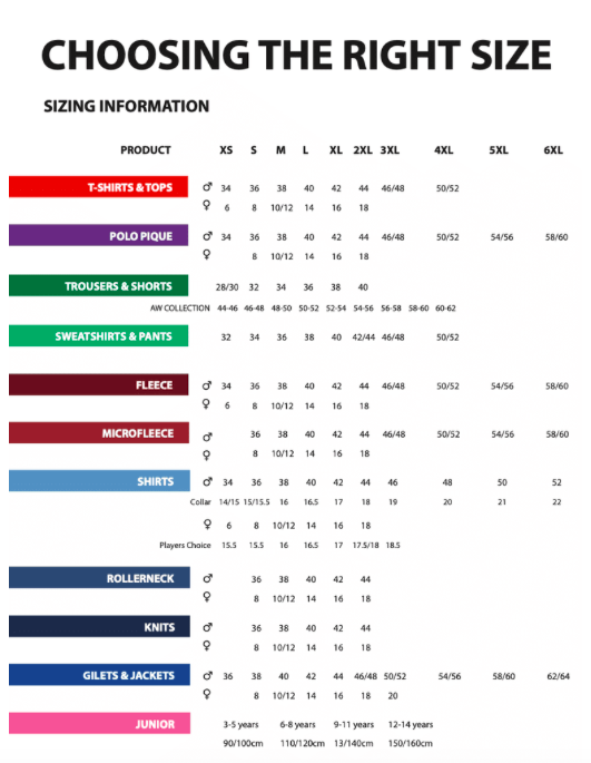 Official 2021 Tas Racing Synetiq BMW Team Polo Shirt - Z21Bssmbtps