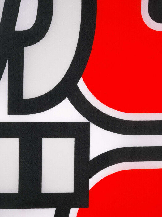 Official Marco Simoncelli Super Sic 58 Flag - 20 55002